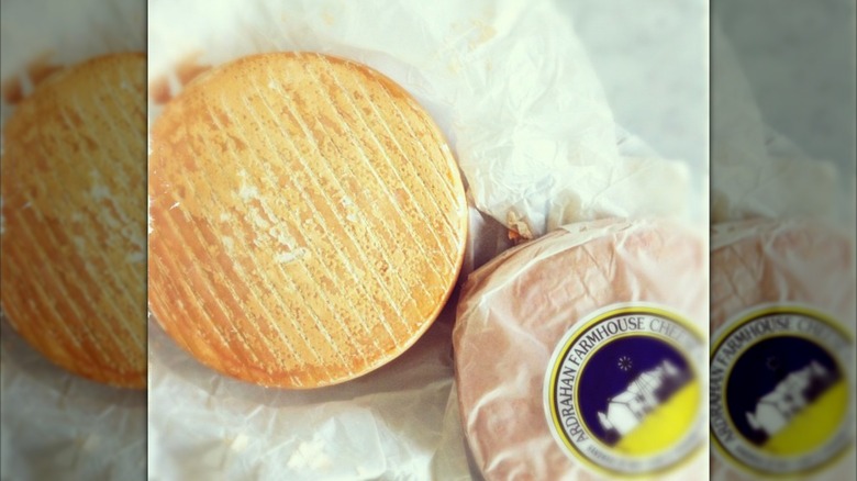 Whole wrapped and unwrapped wheels of ardrahan cheese