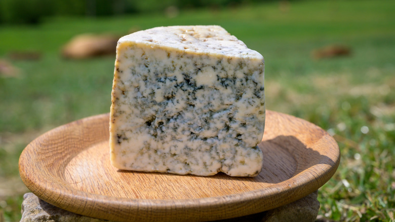 Wedge of blue cabrales cheese on wooden plate, outdoors