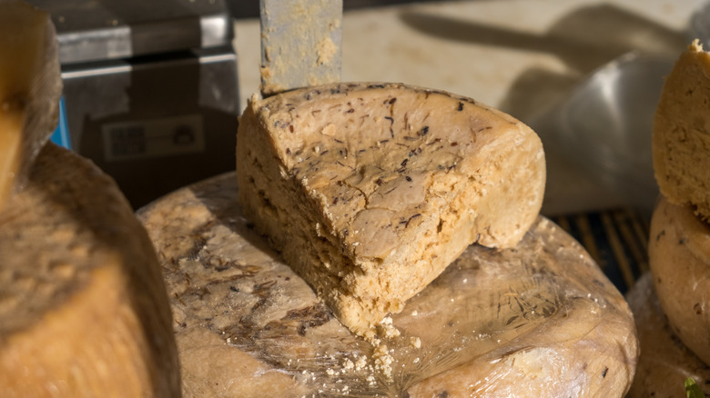 Wedge sitting on top of a wheel of casu marzu cheese