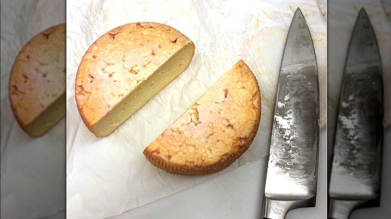 A wheel of hooligan cheese cut in half with a knife