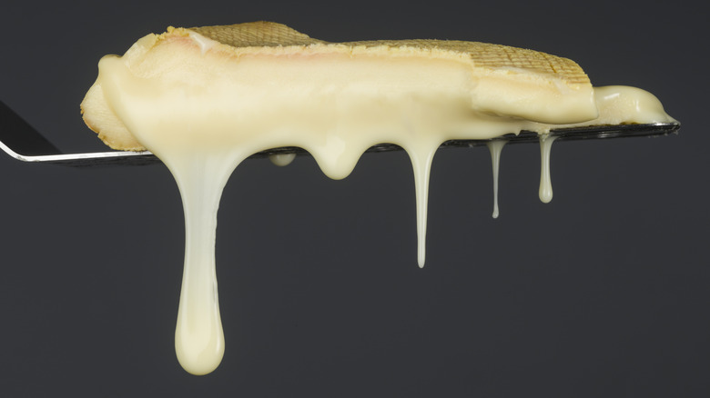 Oozy slice of stinking bishop cheese on a spatula