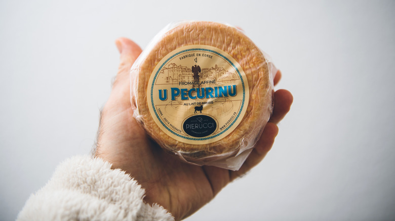 Hand holding a small wheel of u pecurinu cheese