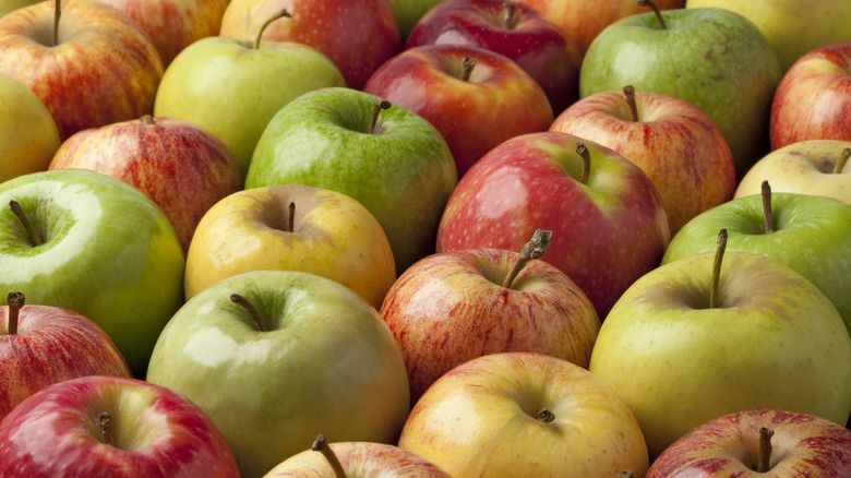 different apple varieties