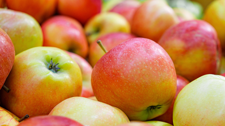 close up of jonagold apples