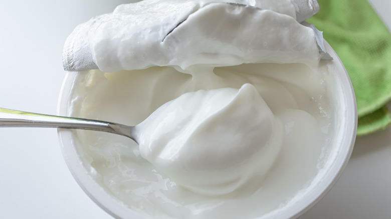 Cup of Greek yogurt