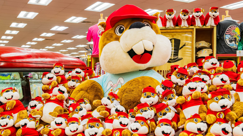 A display of Buc-ee the beaver stuffed animals, with a giant one in the middle