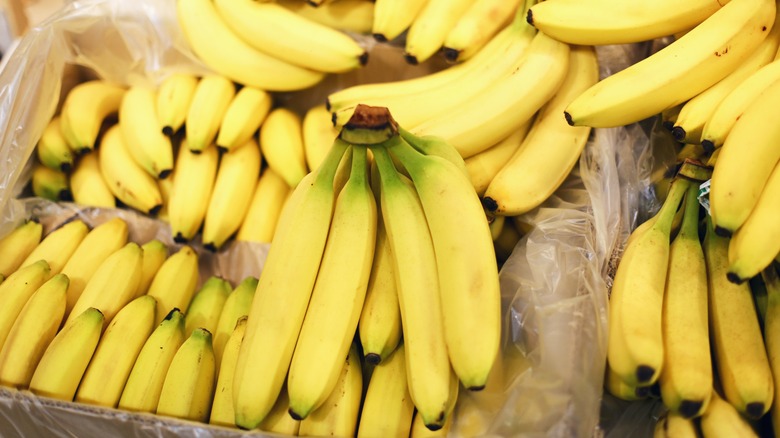 Several bunches of ripe yellow bananas for sale