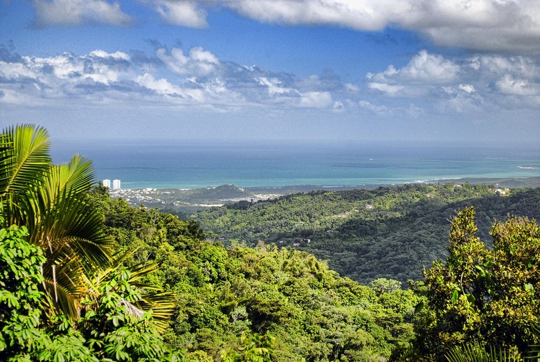 El Yunque