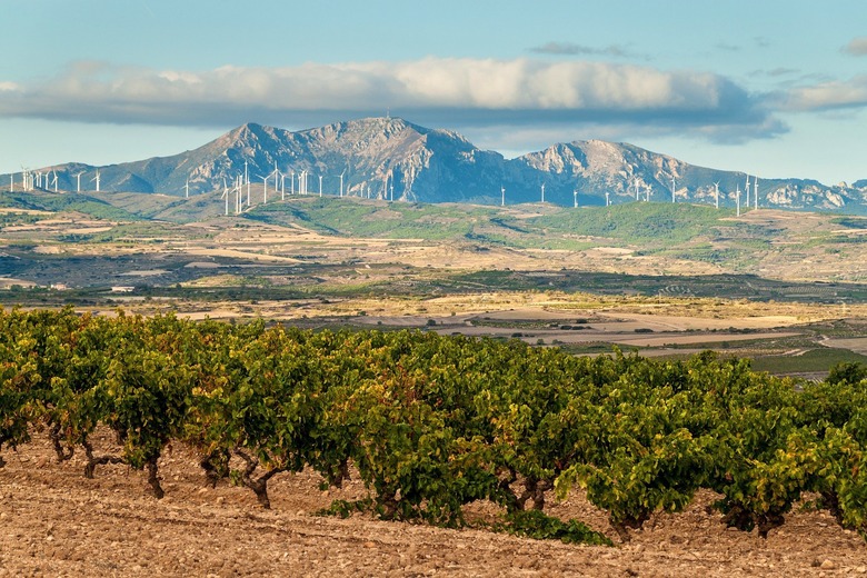 Basque Region