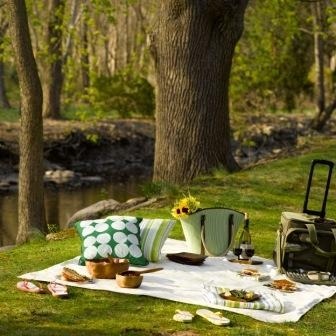 Picnic