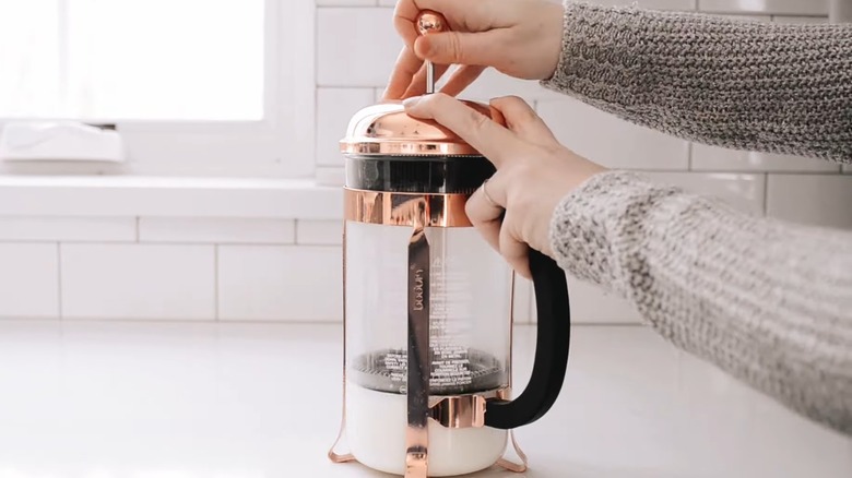 Frothing milk in a French press