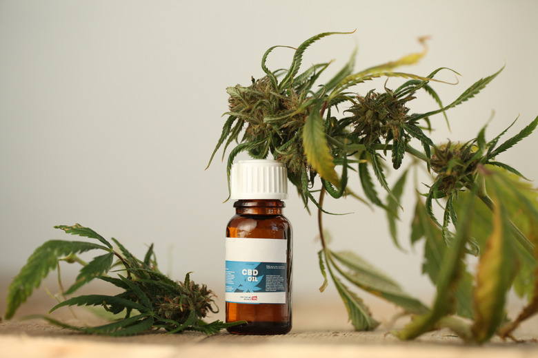 CBD oil