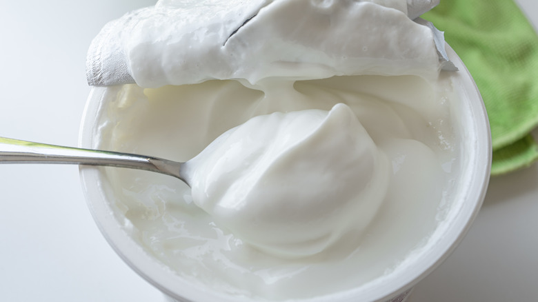 Fresh Greek yogurt on spoon