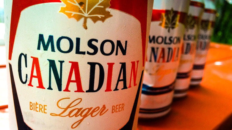 Bottles of Molson Canadian Lager lined up in a row