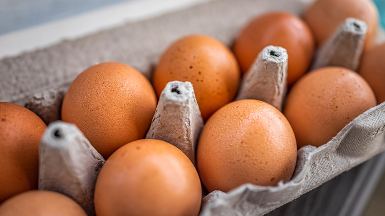 Closeup of a dozen brown eggs in a cardboard container