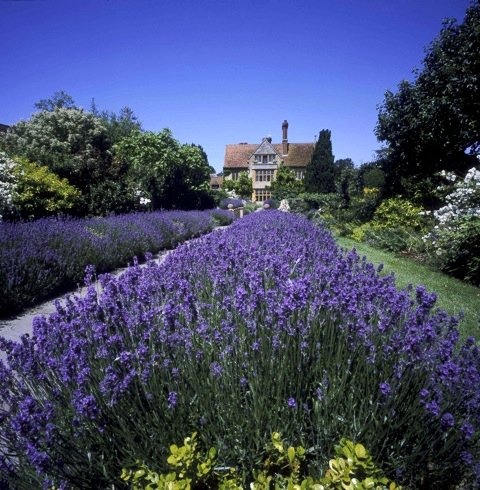Le Manoir&apos;s cooking school