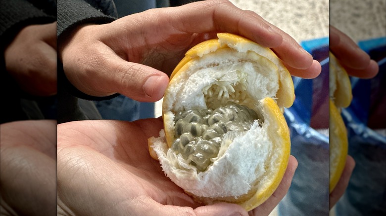 A hand holding a broke open granadilla