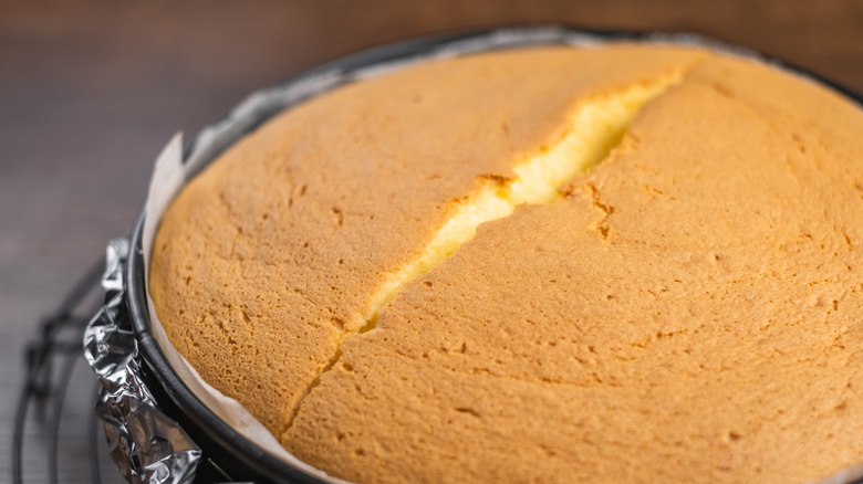 Close up of cracked cheesecake