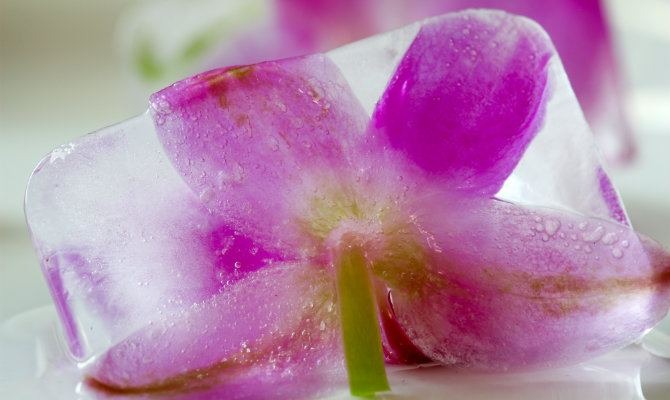 Flower Cake