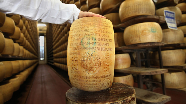 a dairy worker holding a wheel of Parmigiano Reggiano cheese  showing the unique codes