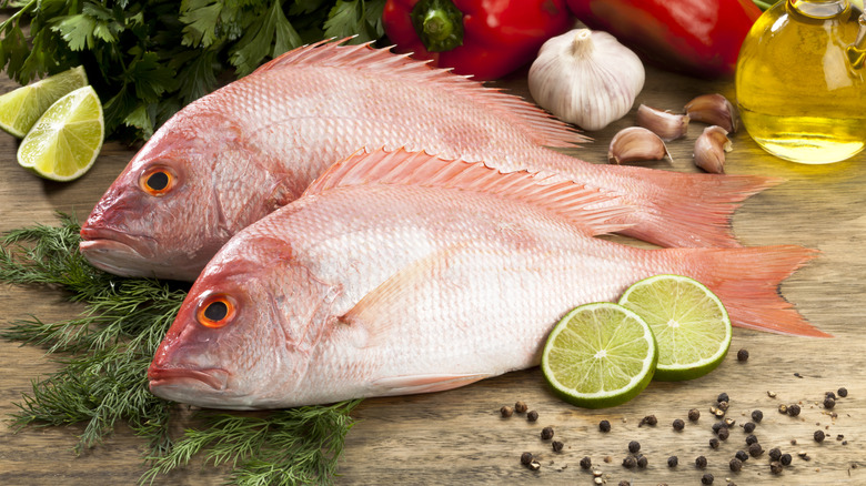 fresh red snapper on cutting board with aromatics