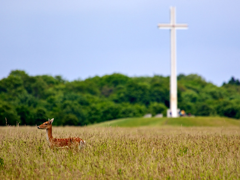 Phoenix Park