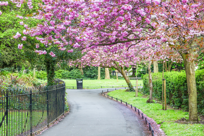 St. Stephen's Green