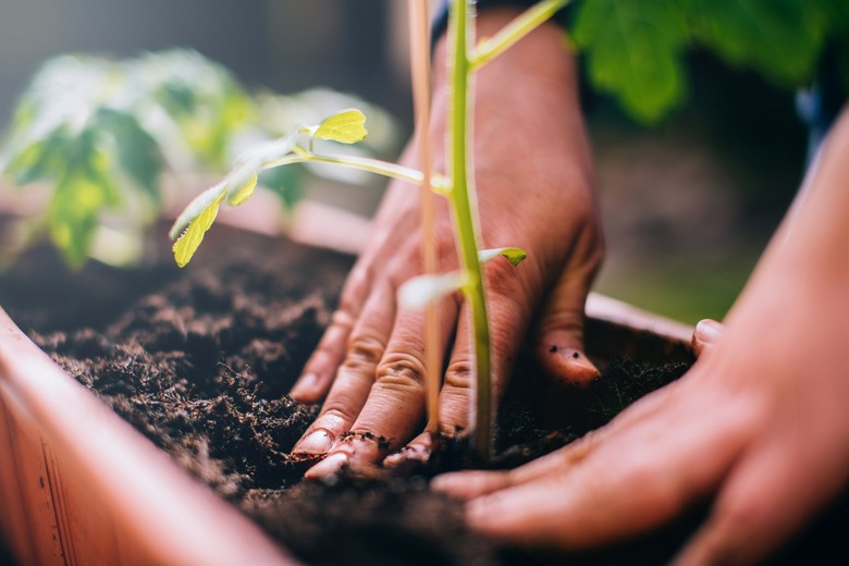 Grow your garden