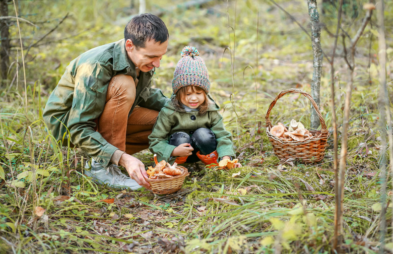 Foraging 
