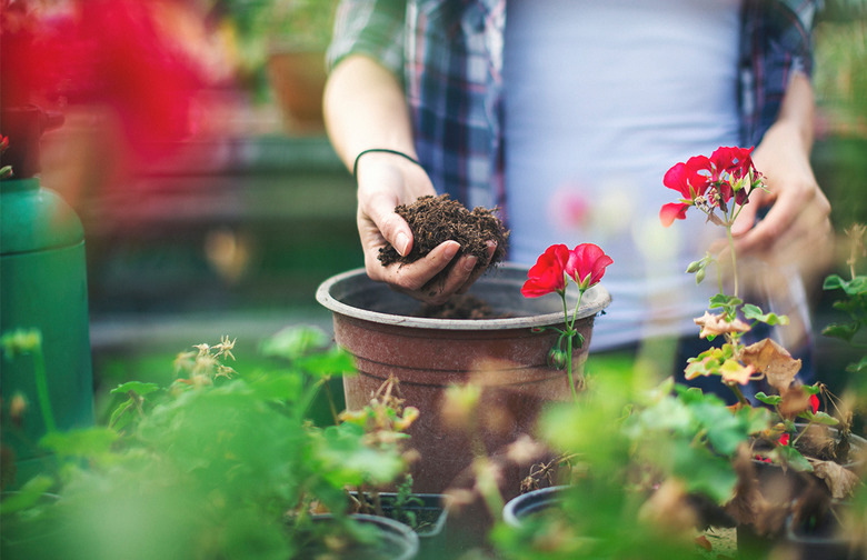 Gardening