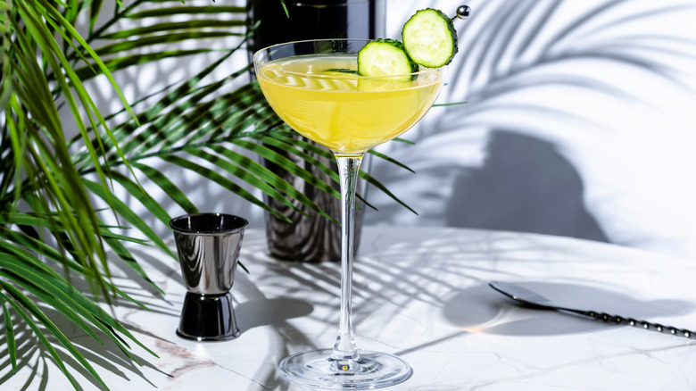 Gimlet with cucumber slices