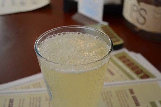 Pollock's Kefir Pop