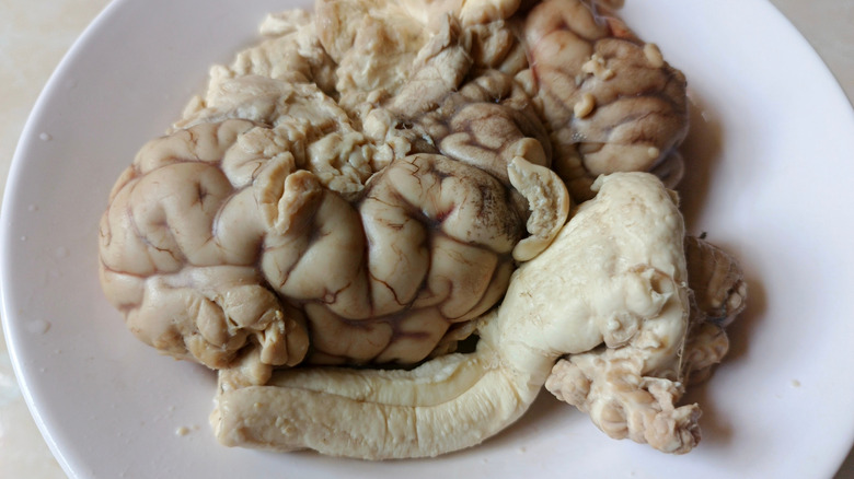 Steamed cow brains, gray and wrinkly, on a white plate.