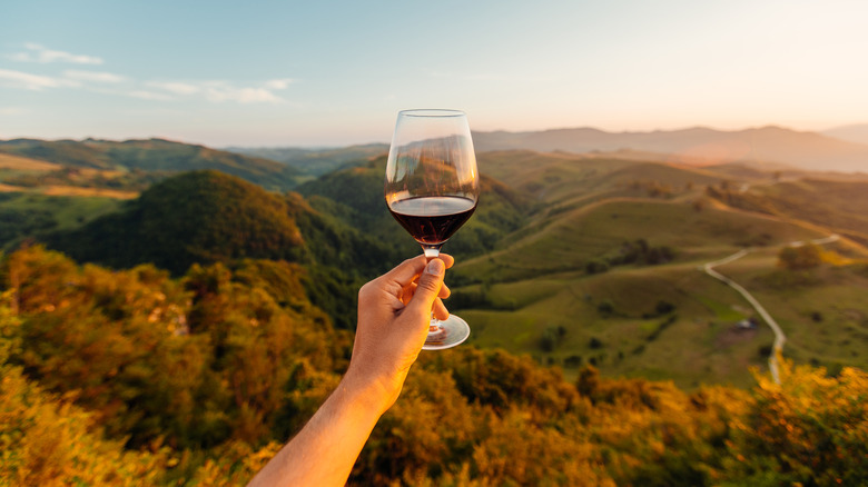 hand holding a glass of wine in in front of a hilly landscape