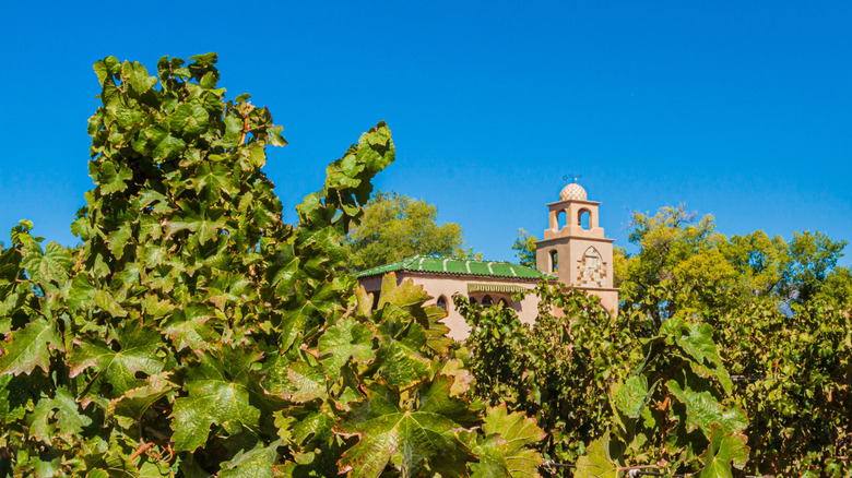 vineyard with spanish architecture in new mexico