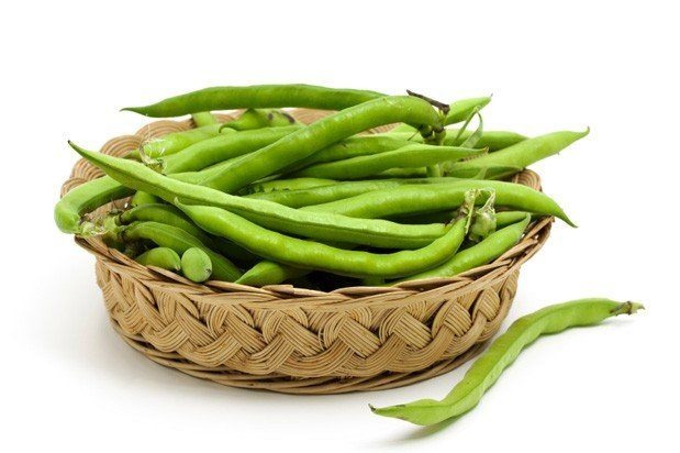 fava beans
