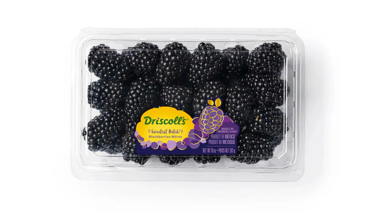 Driscoll's Blackberries