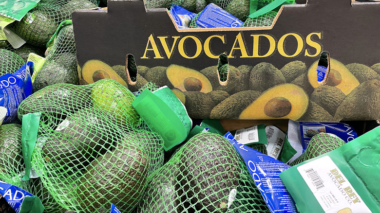 Avocado on display in Costco