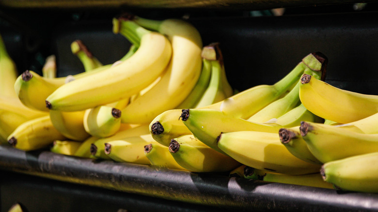Bananas on display on store shelf