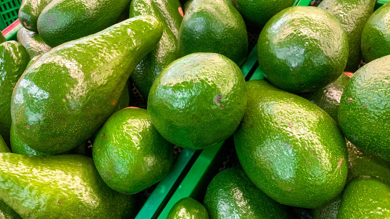 a selection of large ripe avocados