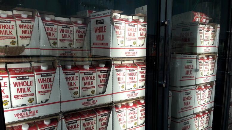 Cartons of Costco Kirkland Signature Whole Milk, on display in refrigerator