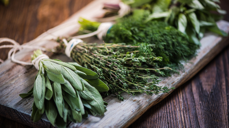 fresh bunches of herbs