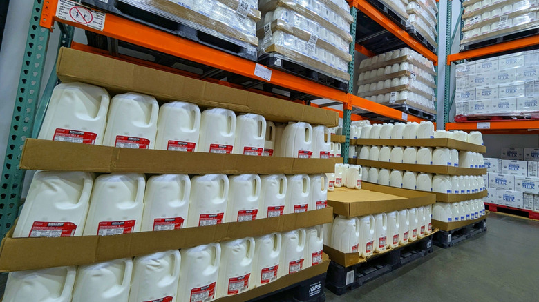 Costco dairy section