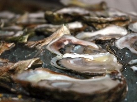 7 Outstanding Oyster Recipes
