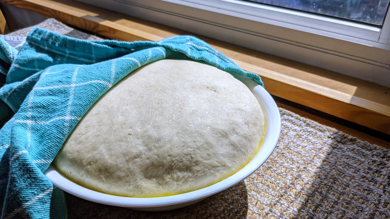 Homemade pizza dough left to rise in the sun for warmth in a bowl