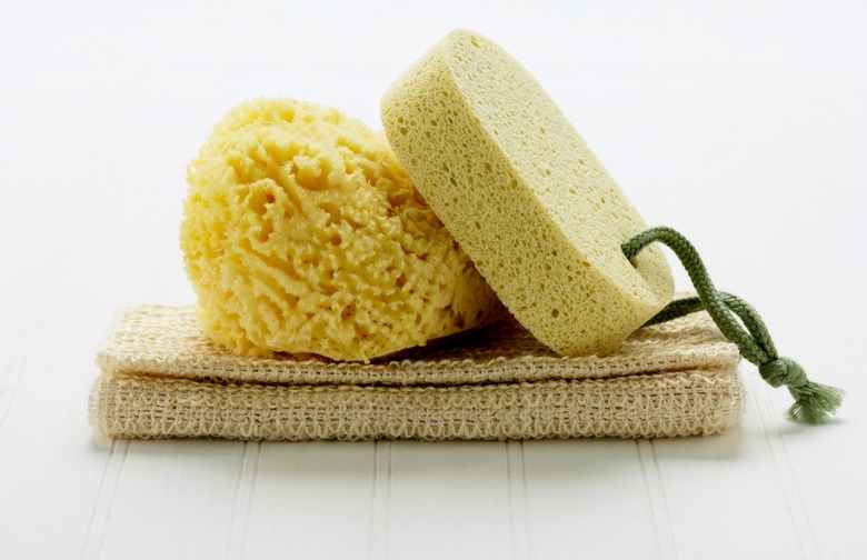 Sanitize Dish Sponges and Towels