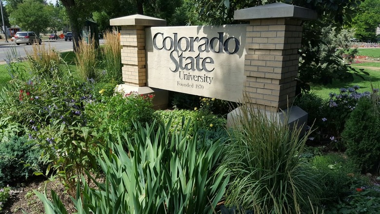 #31 Colorado State University (Fort Collins, Colo.)