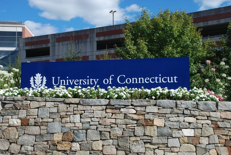#17 University of Connecticut (Storrs, Conn.)