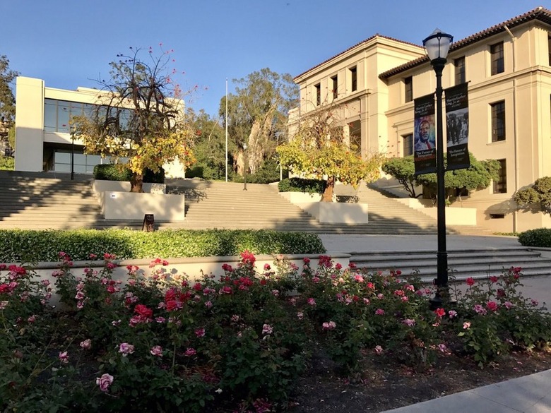#8 Occidental College (Los Angeles, Calif.)