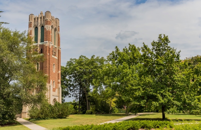 #19 Michigan State University (East Lansing, Michigan) 